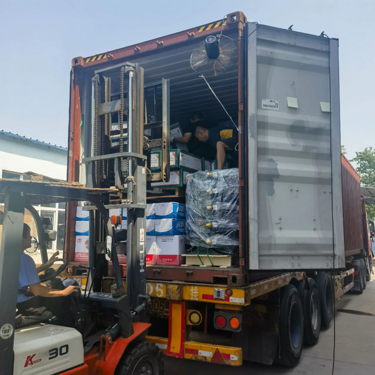 Ricambi per autocarri pesanti SKYOND: guida facile, affidabile ovunque!